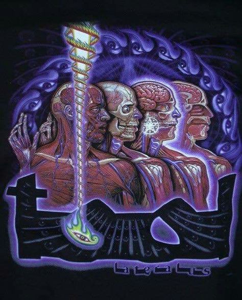 Tool Band Quotes, Tool Alex Grey, Tool Lateralus, Tool Band Art, Alex Grey Art, Tool Band Artwork, Tool Artwork, Alex Gray Art, Tool Poster