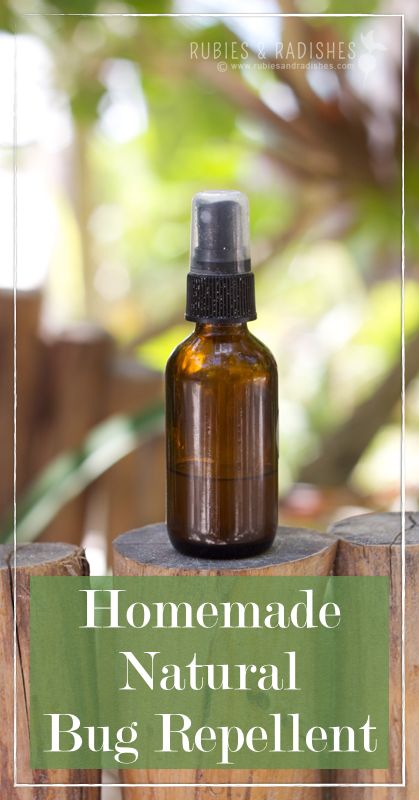 DIY Bug Spray: Natural Bug Repellent - Up and Alive Diy Bug Spray, Vacation In Mexico, Eaten Alive, Basil Essential Oil, Natural Repellent, Natural Bug Repellent, Insect Spray, Bug Spray, Bug Repellent