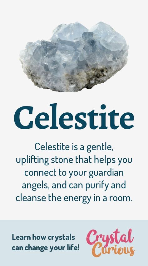 Celestite Meaning & Healing Properties. Celestite is a gentle, uplifting stone that helps you connect to your guardian angels, and can purify and cleanse the energy in a room. Learn  about healing crystals for beginners and gemstones properties at CrystalCurious.com. Chakra healing with crystals, vibrational positive energy, stone meanings, crystal therapy. #crystalhealing #crystals #gemstones #energymedicine #energyhealing #newage #crystalcurious Celestine Crystal Meaning, Crystals Meanings Beginners, Celestite Crystal Meaning, Healing Stones And Crystals Meanings, Angel Crystals, Celestine Crystal, Crystals For Beginners, Crystals Meanings, Stone Meanings