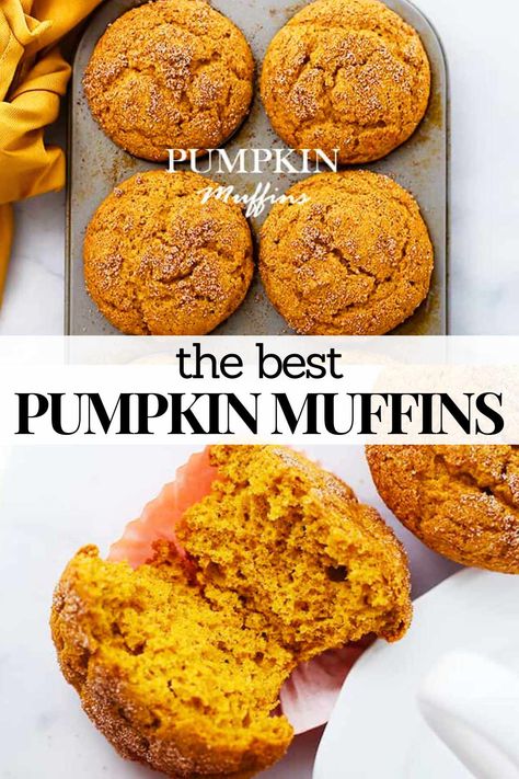 The Best Pumpkin Muffins are moist, fluffy, soft with packed with fall spices. Use pumpkin puree to make these easy pumpkin muffins. 1 Can Of Pumpkin Recipes, 1 Cup Pumpkin Puree Recipes, Pumpkin Puree Muffins, Pure Pumpkin Recipes Easy, Pumpkin Puree Recipes Desserts, Easy Pumpkin Muffins, Pumpkin Muffins Recipe, Best Pumpkin Muffins, Food Substitutes