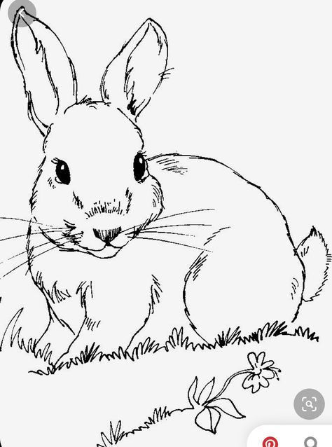 Lapin Art, Bunny Watercolor, Bunny Coloring Pages, Pinterest Templates, Rabbit Art, Bunny Art, Animal Sketches, Color Pencil Drawing, Pinterest Pin