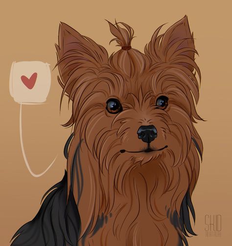 Yorkshire Terrier Sketch, Yorkshire Terrier Illustration, Yorkshire Terrier Drawing, Yorkie Drawing, Yorkie Painting, Yorkie Art, Dog Sketches, Anime Puppy, Dog Design Art