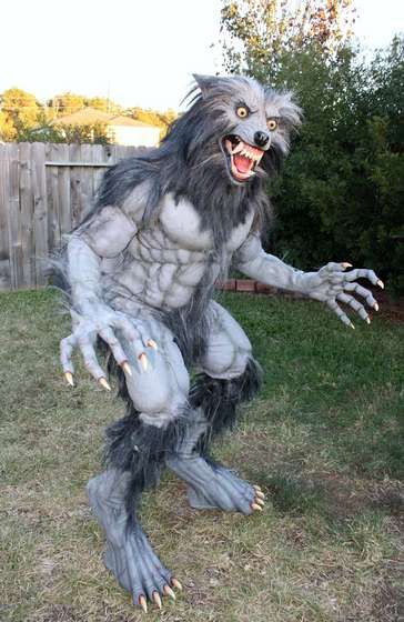 Werewolf Costume.  Here's a link on how to make the stilts... http://www.instructables.com/id/Werewolf-Stilts-digitigrade-legs/    Here's a simpler version... http://www.youtube.com/watch?v=3JeJ1LimPAk Halloween 2010, Werewolf Costume, Wolf Costume, Halloween Costumes For 3, Last Halloween, Werewolf Art, Stilts, Cool Halloween Costumes, Halloween Props