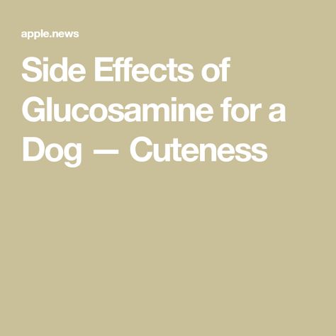 Side Effects of Glucosamine for a Dog — Cuteness Side Effects, Energy Healing, Small Pets, For Dogs, Allergies, 20 Years, A Dog, Cute Dogs, Siding