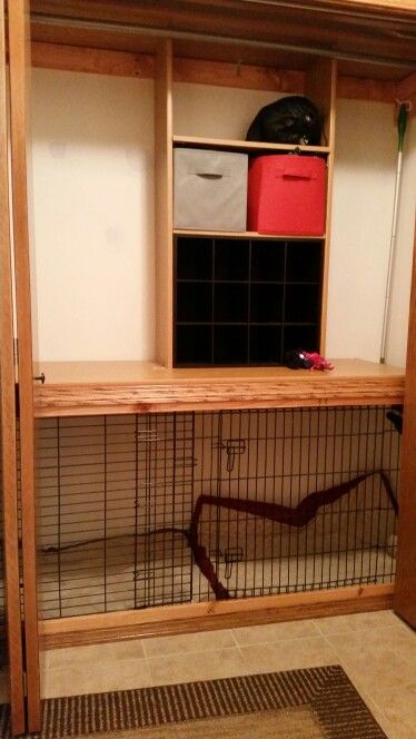 I like the shelves above the kennel so that you know whose stuff is who. But for a kennel business the actual kennel is too small. Dog Kennels In Closet, Closet With Dog Crate, Closet Kennel Ideas, Dog Crate In Closet, Dog Kennel In Closet, Dog Kennel Closet, Closet Dog Crate, Closet Dog Kennel, Closet Dog Room