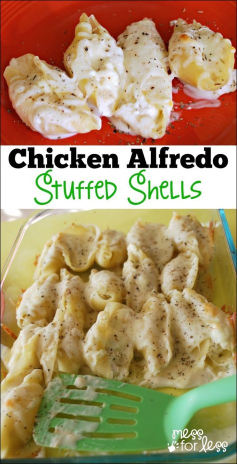 Chicken Alfredo Stuffed Shells Italian Background, Recipe Noodles, Chicken Alfredo Stuffed Shells, Alfredo Stuffed Shells, Shells Stuffed, Noodles Recipes, Shells Recipe, Chicken Stuffed, Stuffed Shells Recipe