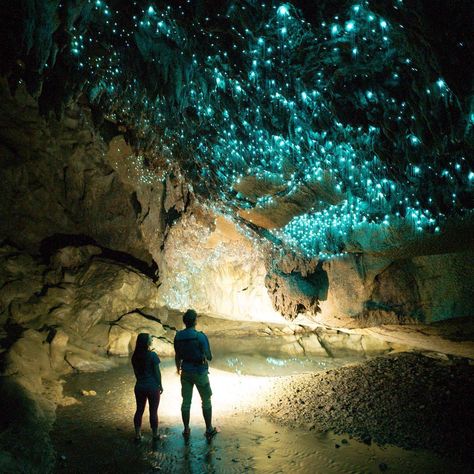 4,466 Likes, 106 Comments - Natasha Moon (@rebornbyadventure) on Instagram: “For the past few days we were exploring caves with glow worms. It was one of the most unique…” New Zealand Tourist Attractions, Things That, New Zealand, Travel, Instagram, Nature