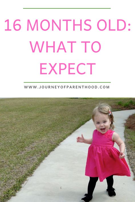 What to expect with a 16 month old toddler girl - milestones, development, and everything you may deal with at this age. #toddlermilestones #toddlerdevelopment 16 Month Milestones, 16 Month Old Development, Toddler Chores, Toddler Milestones, Development Milestones, Look At Her Now, Toddler Development, Baby Prep, Surviving Motherhood