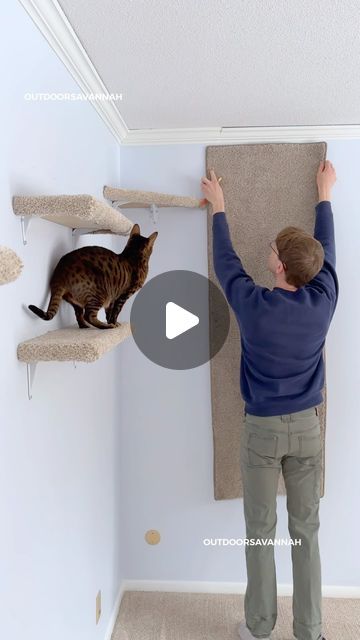 75K likes, 547 comments - outdoorsavannah am February 8, 2024: "Carpet Wall for a Cat #outdoorsavannah The most simple and effective catification I’ve ever done is hanging up this old rug that was a..." Carpet Wall For Cats, Cat Track On Wall, Cat Carpet Wall, Cat Ramps On Wall, Cat Room Diy, Wall Mounted Cat Playground, Cat Climbing Wall, Drywall Anchor, Cat Rug