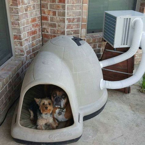 Dog House with Air Conditioning!!! <3 Love!! The best idea for dogs this Summer!!! Get one here: http://amzn.to/1UJsHdP Air Conditioned Dog House, Dog House With Ac, Diy Ac, Dogs House, Kennel Ideas, Outdoor Dog House, Cool Dog Houses, Dog House Diy, Cheap Dogs