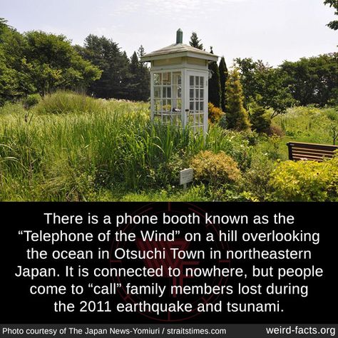 There is a phone booth known as the “Telephone of the Wind” on a hill overlooking the ocean in Otsuchi Town in northeastern Japan. It is connected to nowhere, but people come to “call” family members lost during the 2011 earthquake and tsunami. [1,... Wind Phone, Nuclear Disasters, Visa Credit Card, Fact Of The Day, Mind Blowing Facts, Phone Booth, Historical Facts, A Hill, Incredible Places