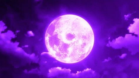 Ciel Anime, Anime Moon, Dark Purple Wallpaper, Violet Aesthetic, Purple Vibe, Dark Purple Aesthetic, Banner Gif, Neon Aesthetic, Neon Purple