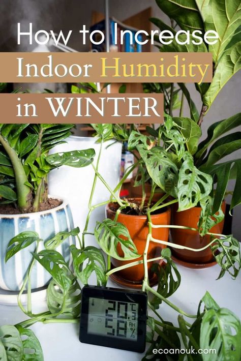 How to Increase Indoor Humidity in Winter & Save Energy How To Humidify Your House Diy, Increase Humidity In House, Natural Decongestant, Low Light Indoor Plants, Air Purifying House Plants, Natural Face Cleanser, Indoor Greenhouse, Home Grown Vegetables, Indoor Fountain