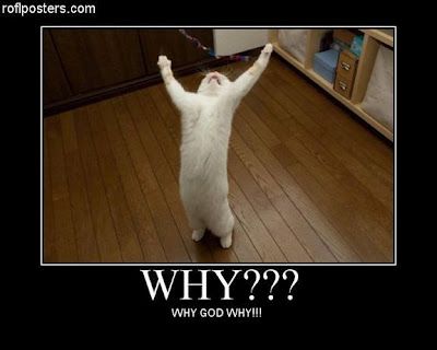 Finally I'm Giving up Why Me God, Why God Why, Very Demotivational, Funny People Pictures, The Way I Feel, Friday Feeling, Funny Cute, Type 3, Shag Rug