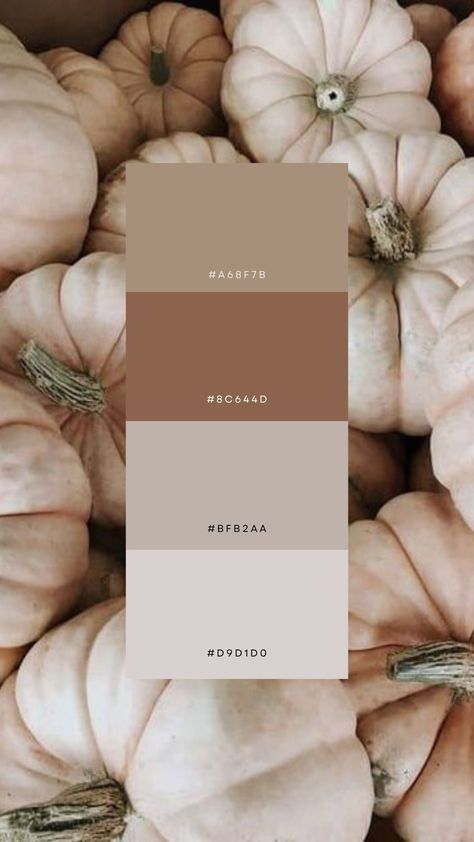 Fall Birthday Color Palette, Cream Aesthetic Color Palette, Cream Color Palette Outfit, Cream Color Palette Colour Schemes, Calm Colors Palette, Vanilla Colour Palette, Fall Palette Colour Schemes, Soft Christmas Color Palette, Earthy Color Palette Clothes