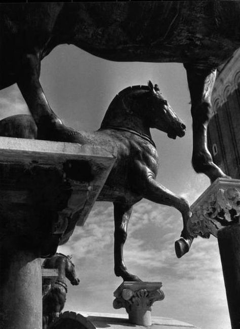 The Horses of San Marco, Venice, 1939. Herbert List San Marco Venice, Herbert List, Modern Photography, Equine Art, Magnum Photos, Bw Photo, Black And White Pictures, Horse Art, A Horse