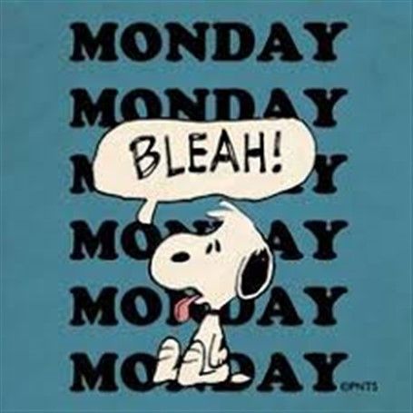 It's Blue Monday Monday Monday, Snoopy And Charlie Brown, I Hate Mondays, Peanut Gang, Monday Humor, Snoopy Funny, Peanuts Cartoon, Snoopy Quotes, Snoopy Pictures