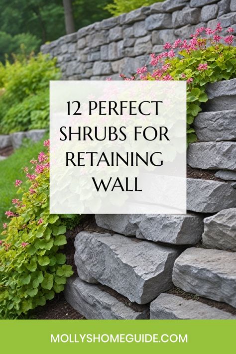 Discover the best shrubs for retaining walls that not only add beauty but also serve practical purposes. Whether you're looking for plants to control erosion, create privacy, or add a cascading effect to your landscape, we've got you covered. Explore a variety of flowering hedges, foundation shrubs, and screening options perfect for slopes or retaining walls. Enhance your outdoor space with these top recommendations for cascading plants that will thrive and provide visual interest in any garden Garden Retaining Wall Ideas Landscaping, Yard With Retaining Wall, Small Retaining Wall Ideas, Retaining Wall Plants, Flowering Hedges, Foundation Shrubs, Retaining Wall Landscaping, Retaining Wall Garden, Small Retaining Wall