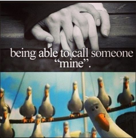 Seagull Funny, Needy Girlfriend, Disney Humor, Girlfriend Humor, Clean Humor, Funniest Memes, Have A Laugh, Disney Funny, Funny Humor