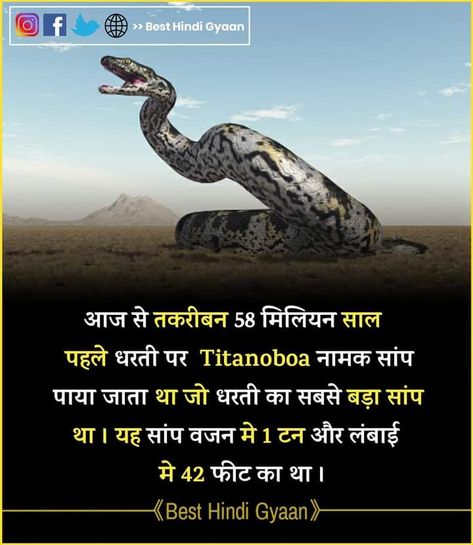 Titanoboa Snake In hindi, Amazing Nature Facts, Animal Facts In Hindi, Titanoboa Snake, Jai Mata Di Wallpaper, Animal Facts Interesting, Interesting Health Facts, Free Cartoon Characters, Snake Facts, Youtube Facts