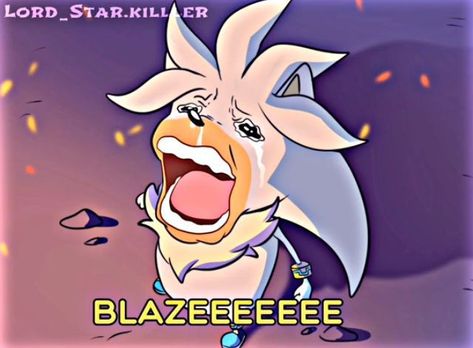 Silver The Hedgehog And Blaze, Silver The Hedgehog Memes, Sonic Silver Shadow, Silver The Hedgehog Fanart, Silver X Blaze, Blaze Sonic, Silver And Blaze, Sonic Silver, Sonic Videos