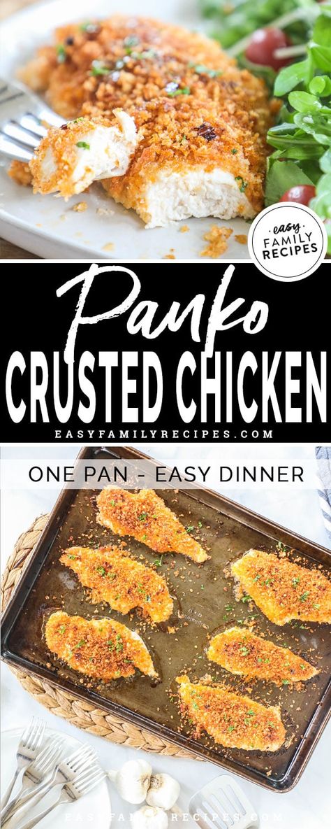 Baked Panko Chicken with Honey Drizzle · Easy Family Recipes Baked Chicken Recipes Panko, Breaded Chicken Recipes Panko, Easy Crusted Chicken, Best Chicken Breast Recipes For Dinner, Best Panko Chicken, Healthy Family Meals Chicken, Greek Yogurt Panko Chicken, Baked Crusted Chicken Recipes, Honey Crusted Chicken