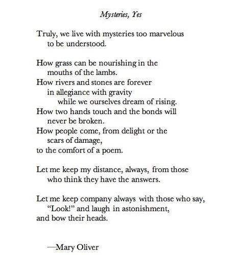 Truly, we live with mysteries too marvelous to be understood ... Let me keep company always with those who say   "Look!" and laugh in astonishment,   and bow their heads. - Mary Oliver | Mysteries, Yes, from Evidence #poem Mary Oliver Poems, Collateral Beauty, Poetic Words, Writing Motivation, Mary Oliver, Poetry Words, Writing Poetry, It Goes On, A Poem