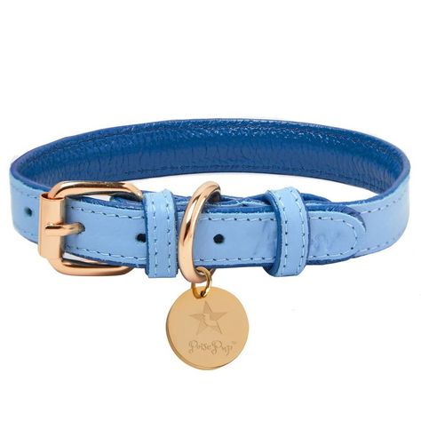 Cute Boy Dog Collars, Puppy Collars Girly, Cute Dog Collars For Females, Dog Collar Aesthetic, Boy Dog Collars, Dog Leashes And Collars, Cute Dog Accessories, Cool Dog Collars, Small Dog Accessories