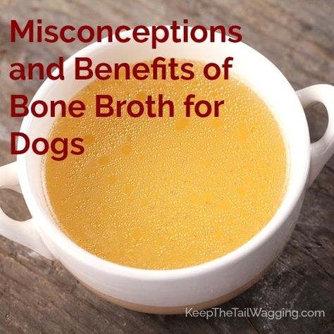 Bone Broth Recipe For Dogs, Bone Broth For Dogs, Broth For Dogs, Chicken Bone Broth Recipe, Homemade Bone Broth, Chicken Bone Broth, Diy Dog Food, Dog Biscuit Recipes, Bone Broth Recipe