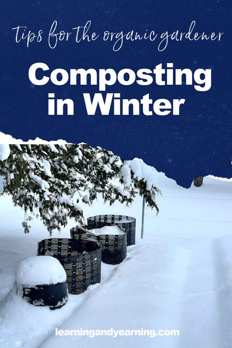 Composting in winter can be a challenge; here are tips for success! #compost #composting #winter #gardening #organicgardening #natural #homesteading Urban Composting, Canadian Gardening, Composting Bins, Mums Garden, Garden Snake, Cold Climate Gardening, How To Compost, Frugal Gardening, Vegetable Scraps