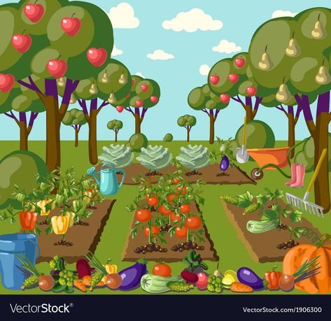 Garden Royalty Free Vector Image - VectorStock Vegetable Cartoon, Garden Clipart, Vegetable Farming, Summer Wall Art, Garden Illustration, Garden Drawing, Market Stall, Cartoon Background, Free Clipart