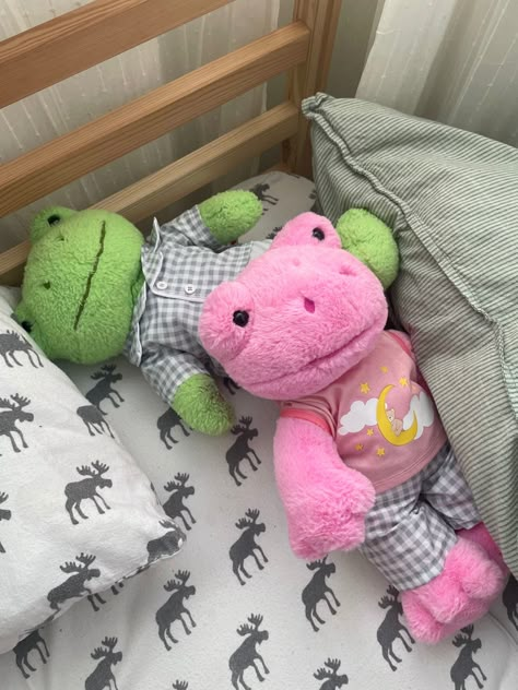 Pink And Green Frog Build A Bear, Frog Plush Aesthetic, Buildabear Aesthetic, Pink Frog Aesthetic, Pink Frog Build A Bear, Frog Plushie Aesthetic, Buildabear Frog, Frog Teddy, Frog Bedroom