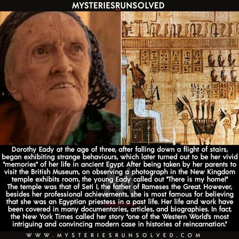 Miracle Stories, Life In Ancient Egypt, Ancient History Facts, True Interesting Facts, Interesting Facts About World, Cool Science Facts, Creepy Facts, History Facts Interesting, Unbelievable Facts