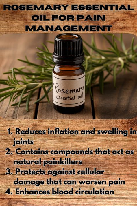 A bottle of rosemary essential oil sitting on a wooden surface with fresh rosemary sprigs. Text explains the benefits of rosemary oil for pain management, such as reducing joint pain, improving circulation, and relieving muscle soreness. Essential Oils For Muscle Pain, Rosemary Benefits, Doterra Rosemary, Improving Circulation, Rosemary Essential Oil, Essential Oils For Pain, Chronic Pain Relief, Workout Recovery, Amanda Smith