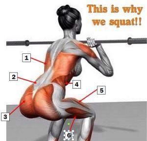 This is why we SQUAT! Squat Muscles Used, Kettlebell Workout, Yoga Routine, Weights Workout, Workout For Beginners, Leg Workout, Weight Training, Get In Shape, Yoga Fitness