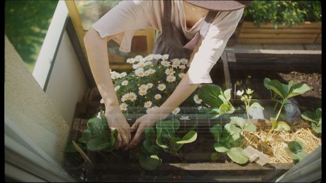 Balcony Vegetable Garden, Thuy Dao, Her 86m2, Household Waste, Local Farmers Market, Trash Bins, Sustainable Packaging, Grow Your Own Food, Glass Containers