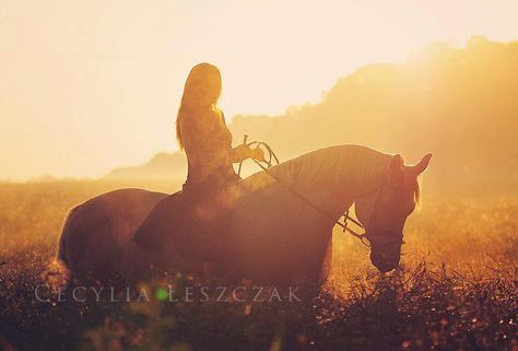 In the golden rays. Photo by: Cecylia Łęszczak Fotografia Golden Hour Horse Photography, Horse Photography Poses, Western Photo, Horse And Human, Horse Photo, Horse Aesthetic, Horse Portrait, Majestic Horse, Equestrian Life