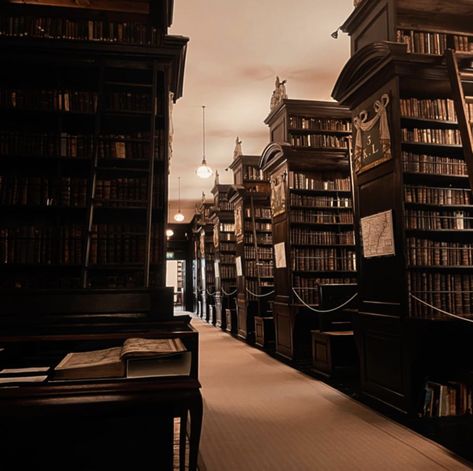 Hogwarts Library Aesthetic, Library Aesthetic Hogwarts, Hogwarts Dungeon Aesthetic, Judas Aesthetic, Library Hogwarts, Library Core, Hogwarts Grounds Aesthetic, Priest Aesthetic, Castle Library Aesthetic Dark