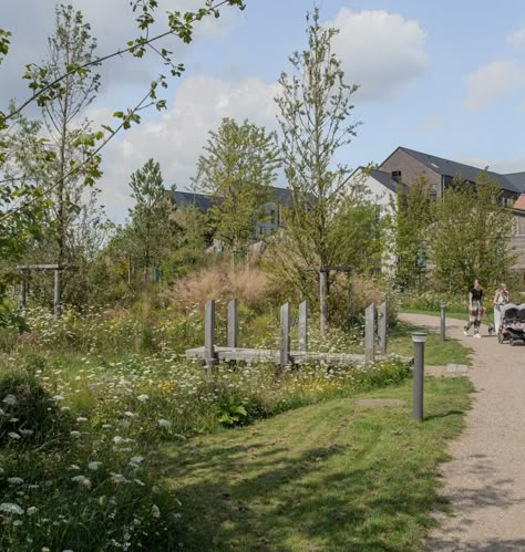 Søndervold Nature Park — SLA Green Roof Garden, Wild Park, Landscape Inspiration, Community Park, Urban Park, Nature Park, Natural Park, Replant, Forest Park