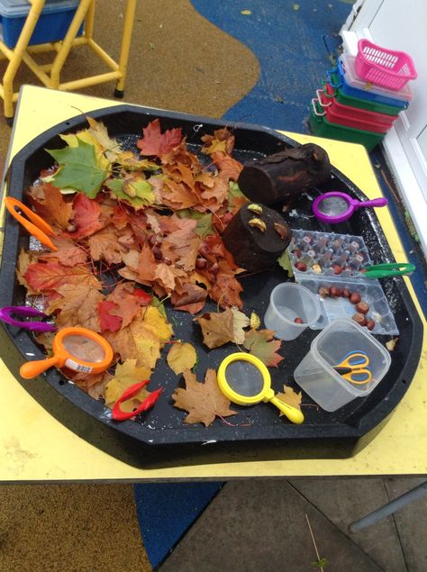 Children loved exploring the autumn tuff spot Nursery Autumn Activities, Outdoor Tuff Tray Ideas Eyfs Autumn, Autumn Themed Tuff Tray, Autumn Play Ideas, Seasons Tuff Tray, Early Years Autumn Activities, Autumn Topic Eyfs, Autumn Sensory Tray, Autumn Messy Play Ideas