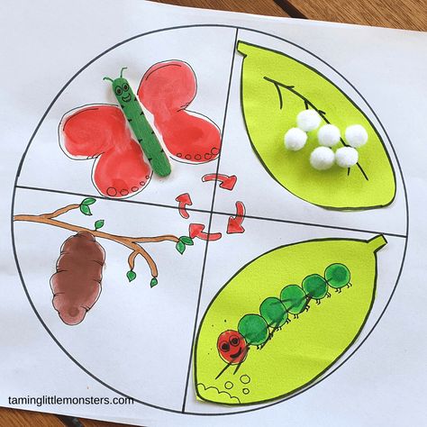 Preschool Life Cycle Activities, Lifecycle Of A Butterfly, Butterfly Activity, Spring Stem Activities, Butterfly Lifecycle, Math Stem Activities, Butterfly Life Cycle Activity, Bee Life Cycle, Insects Preschool