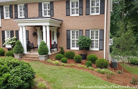 Landscape with Boxwood Shrubs, A Timeless, Classic Design Landscape Ideas For Traditional House, Colonial Front Porch Decor, Brick Colonial Landscaping, Colonial House Front Landscaping, Colonial House Landscaping Front Yard, Front Yard Landscaping Colonial House, Red Brick House Landscaping Front Yards, Colonial House Exterior Landscaping, Red Brick Colonial House Exterior