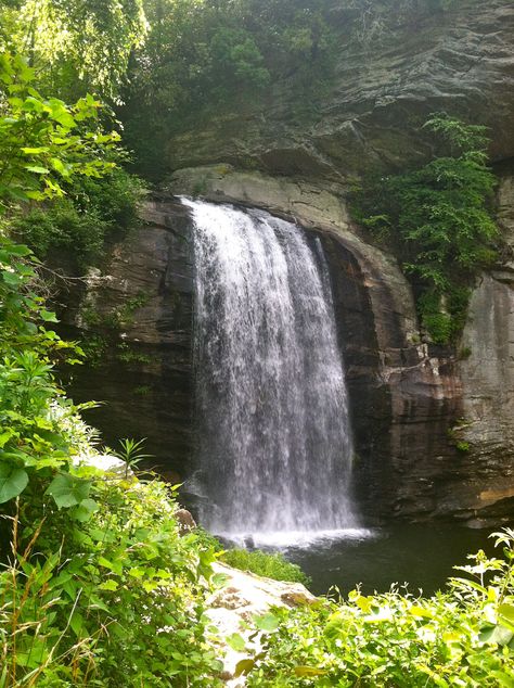 Looking Glass Falls, western NC Natural Waterfalls, Carolina Mountains, Western Nc, Chasing Waterfalls, North Carolina Mountains, Gods Glory, Water Features In The Garden, Active Living, The Mountains Are Calling