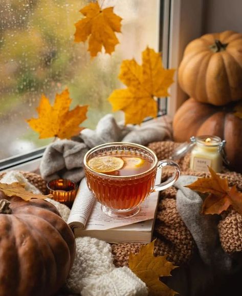 Autumn Tea Party, Autumn Witch, Autumn Tea, Green Tea Benefits, Image Swag, Organic Green Tea, Halloween Wallpaper Iphone, Autumn Scenes, Autumn Coffee