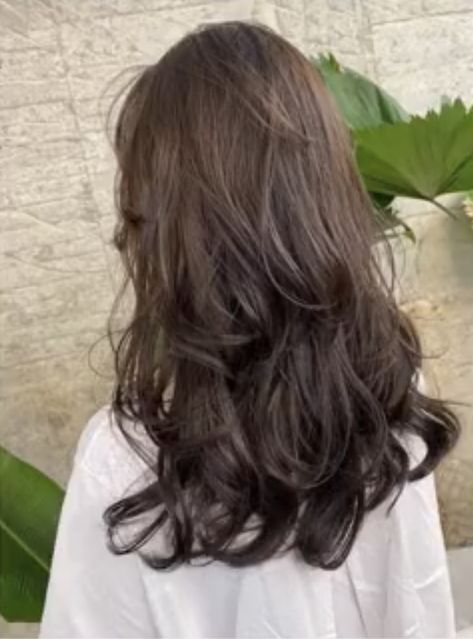 Unstyled Layered Hair, Which Hair Colour, Loose Waves Hair, Hairstyles For Layered Hair, Hair Appointment, Long Hair With Bangs, Hair Color And Cut, Long Layered Hair, Haircuts For Long Hair