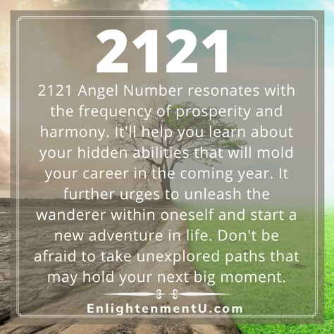 Angel numbers bring important messages from the higher realm. Each angel number has a specific meaning and symbolism, so it is necessary to decipher it to understand what your guardian angels are trying to convey. 2121 angel number signifies prosperity, harmony, and authority. It motivates you to think positively and believe in yourself. 2122 Angel Numbers Meaning, 2121 Angel Number, 0033 Angel Number Meaning, 21 21 Angel Number Meaning, 21 21 Angel Number, Magic Numbers, 2121 Angel Numbers Meaning, 7:11 Meaning Angel, 08:08 Angel Number Meaning