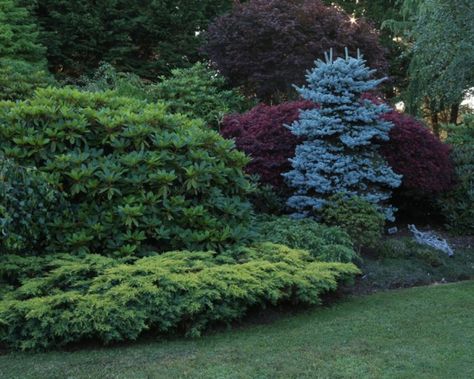 Sloped Landscaping, Arizona Landscaping, Juniper Shrub, Landscaping A Slope, Small Backyards, Small Yard Landscaping, Yard Landscape, Grasses Landscaping, Front Yards