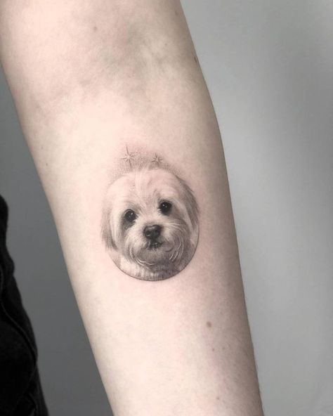 Maltipoo Tattoo, Rocky Tattoo, Pet Memorial Tattoo, Dog Portrait Tattoo, Mama Tattoo, Small Tattoo Placement, Dog Memorial Tattoos, Small Tattoos With Meaning, Small Tattoos Simple