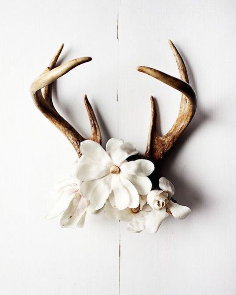 Antlers with flowers used as wall art Decorating With Antlers, Antler Ideas, Deer Horns, Antler Art, Surf Shack, Oh Deer, Deer Antlers, Boho Home, Western Decor