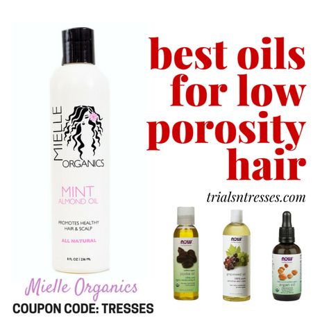 Oils For Low Porosity Hair, Low Porosity Hair Care, Low Porosity Natural Hair, Hair Recipes, Low Porosity Hair, Growing Hair, Low Porosity, Health Hair, Hair Growth Secrets